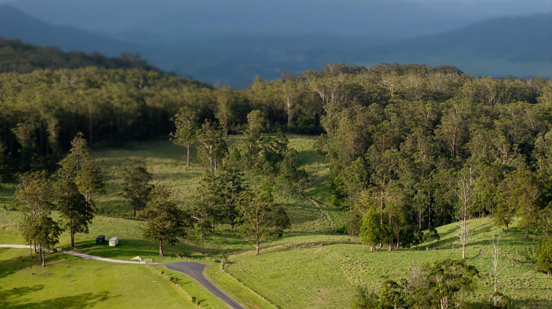 IronBark Station