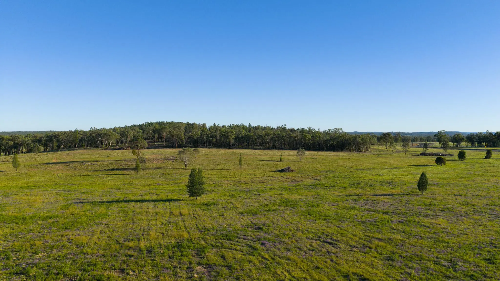 IronBark Station