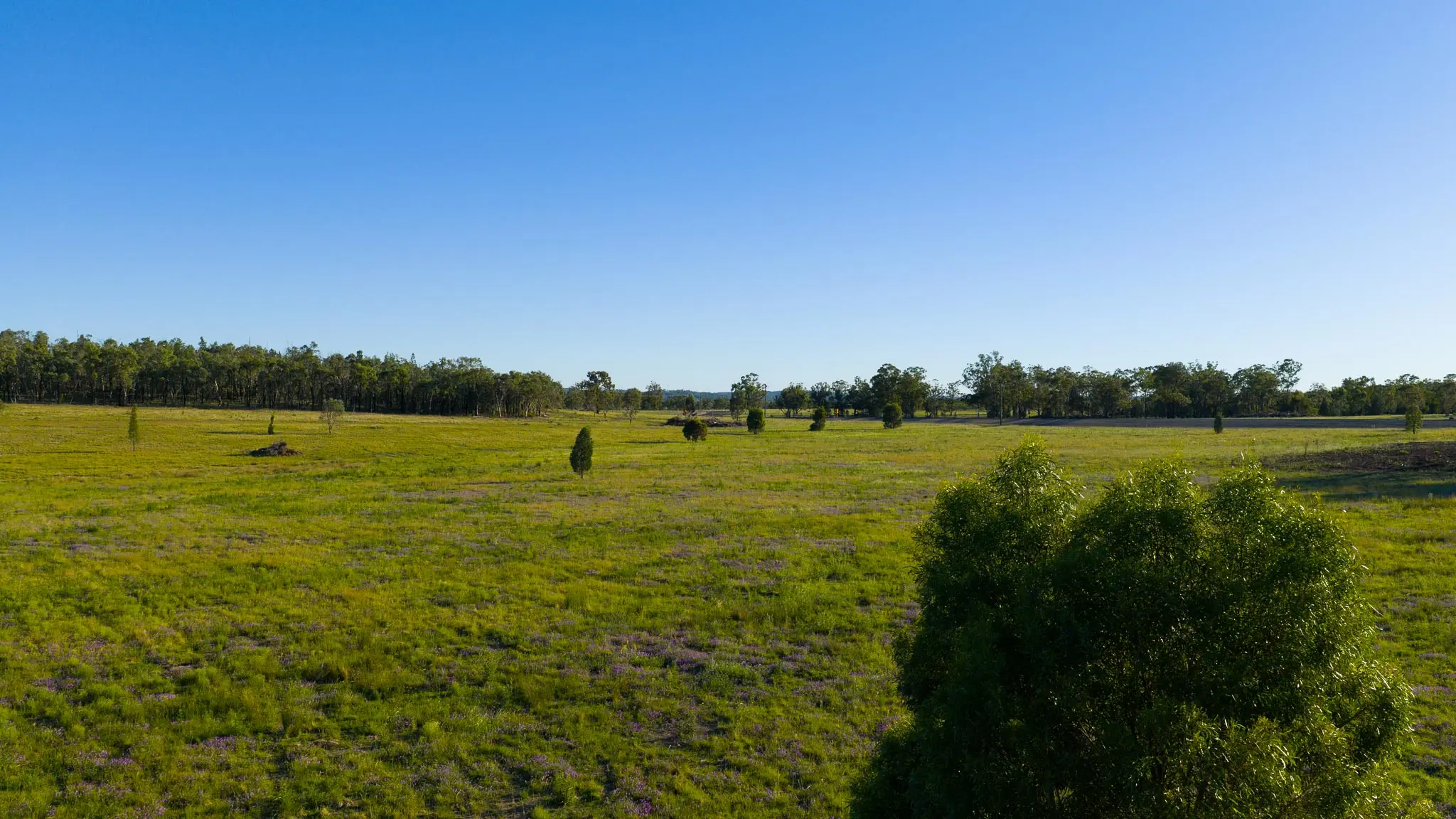 IronBark Station