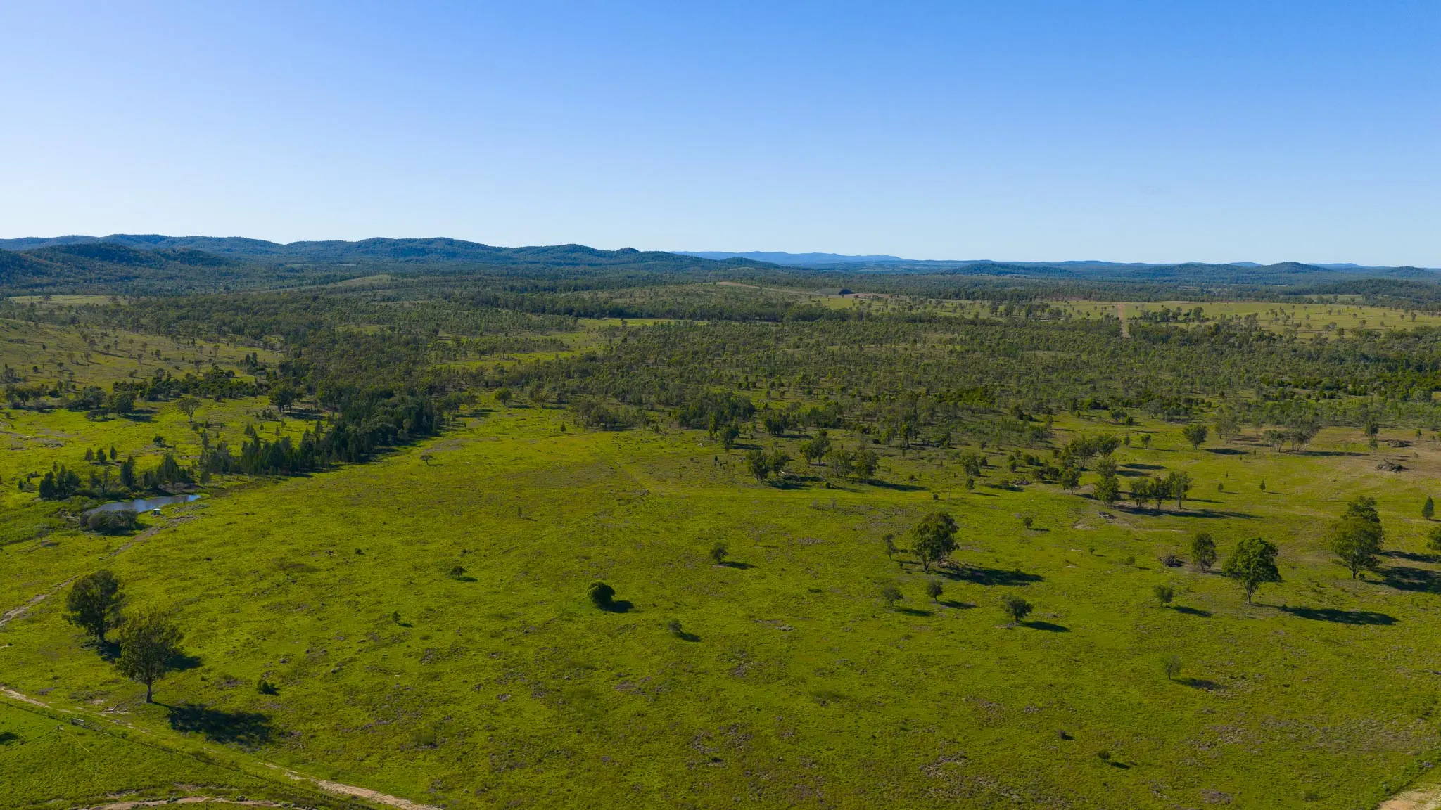 IronBark Station
