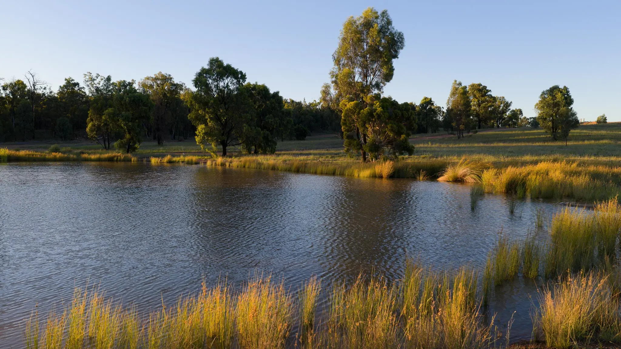 IronBark Station