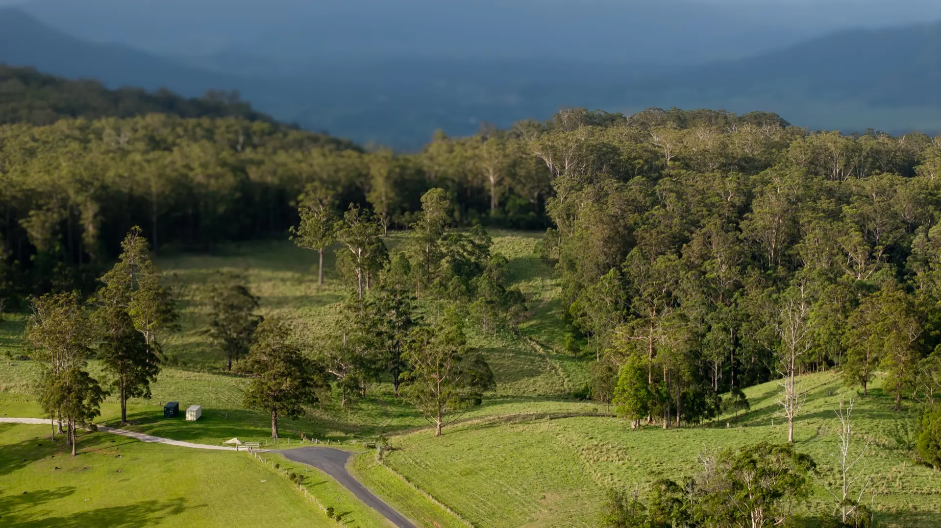 IronBark Station