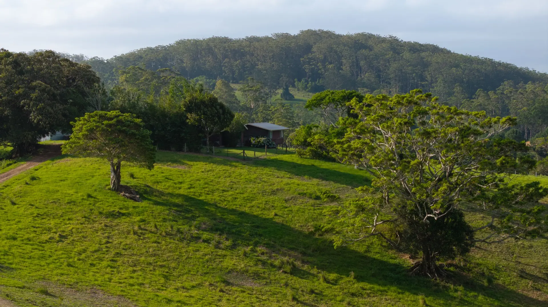 IronBark Station